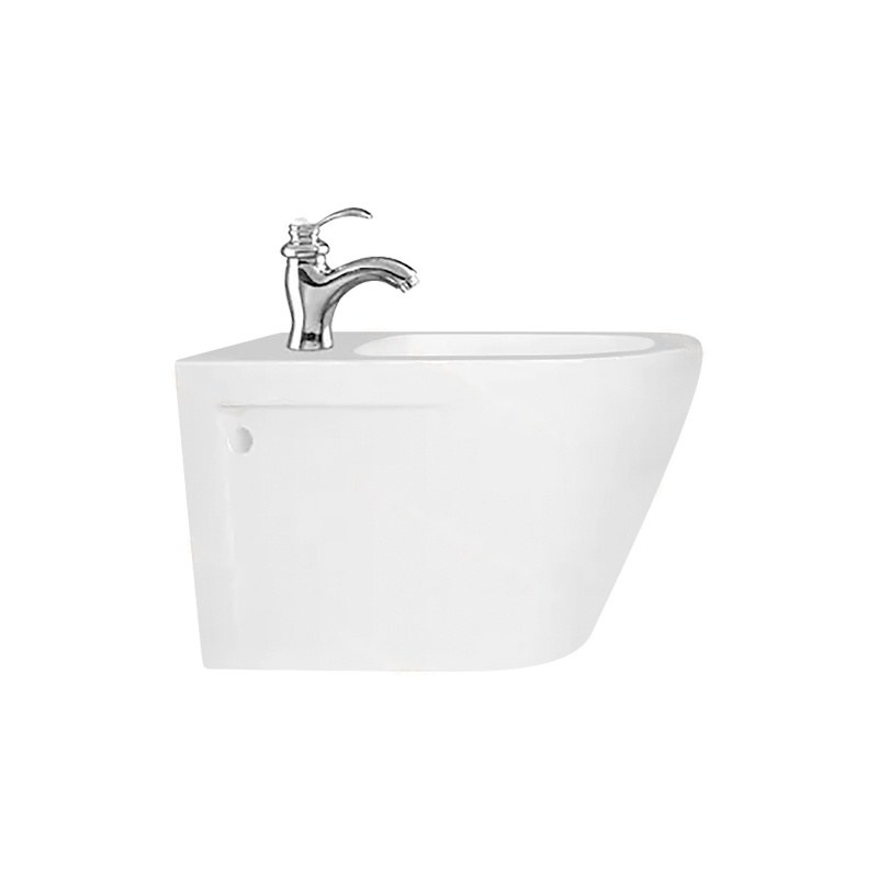 LT-457WB--Bidet bidet, bidet bowl