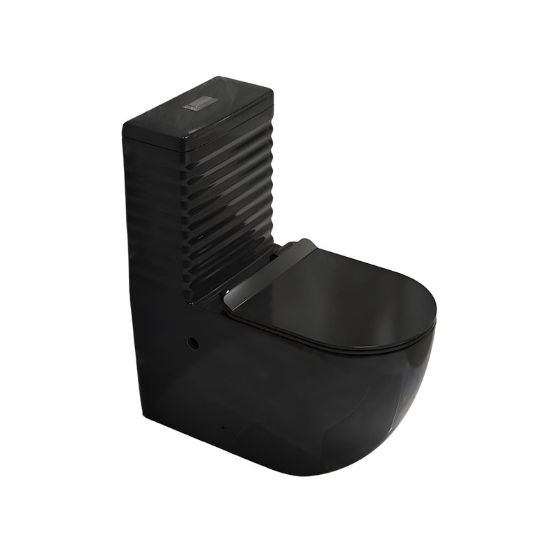 LT-1321-CG-BL black one-piece-toilets