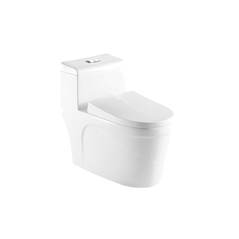 LT-1125 white one-piece-toilets