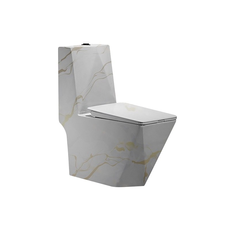 LT-1107-CS-CR patterned one-piece-toilets