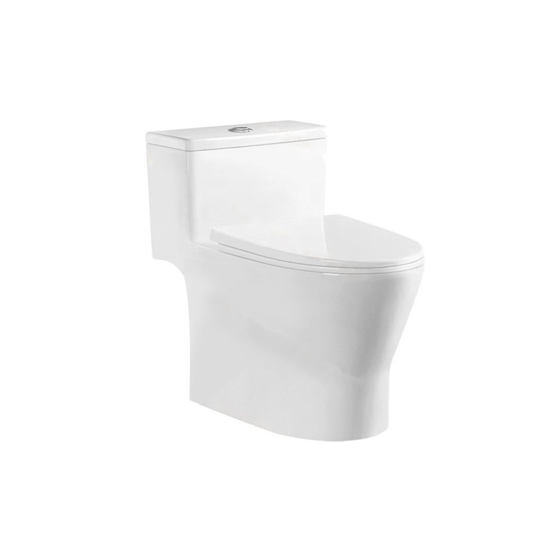 LT-1320 white one-piece-toilets