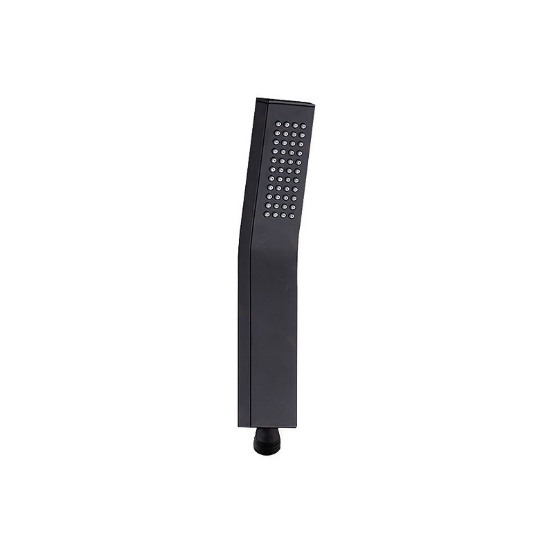 LT-10002-BRA-SP hand shower, hand held shower head