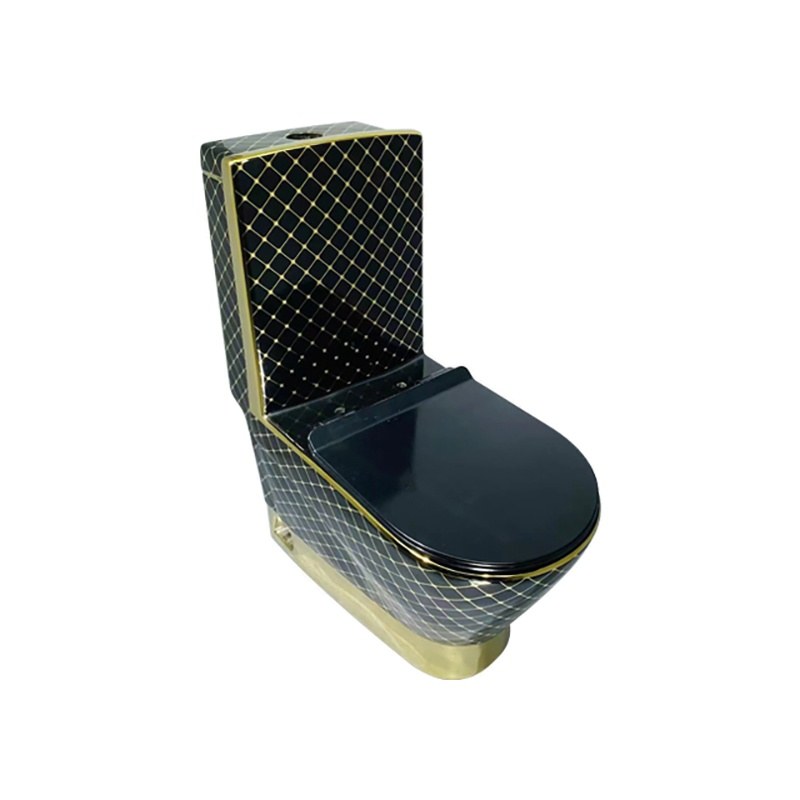 LT-1013-GID-GBL1 colored one-piece-toilets