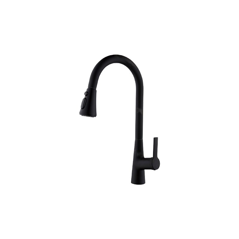LT-10142-SS-TCCLSSCLRLT kitchen faucet, kitchen mixer tap, sink faucet