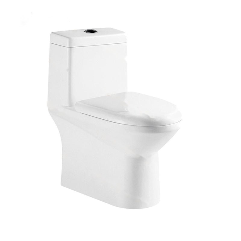 LT-1041 white one-piece-toilets