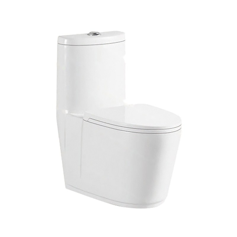 LT-1065 white one-piece-toilets