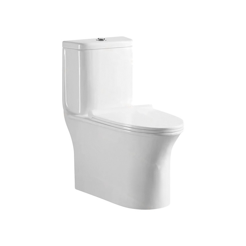LT-1194 white one-piece-toilets