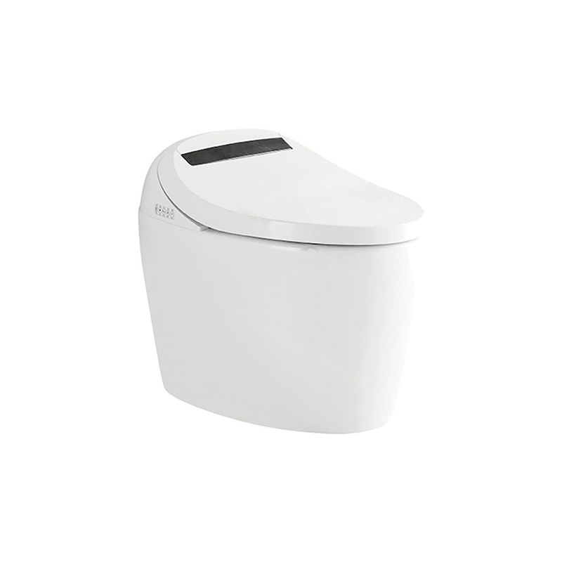 LT-TO-1008-B white smart-toilets