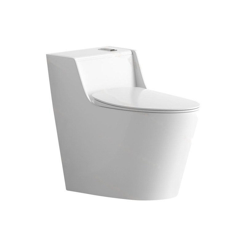LT-1273 white one-piece-toilets