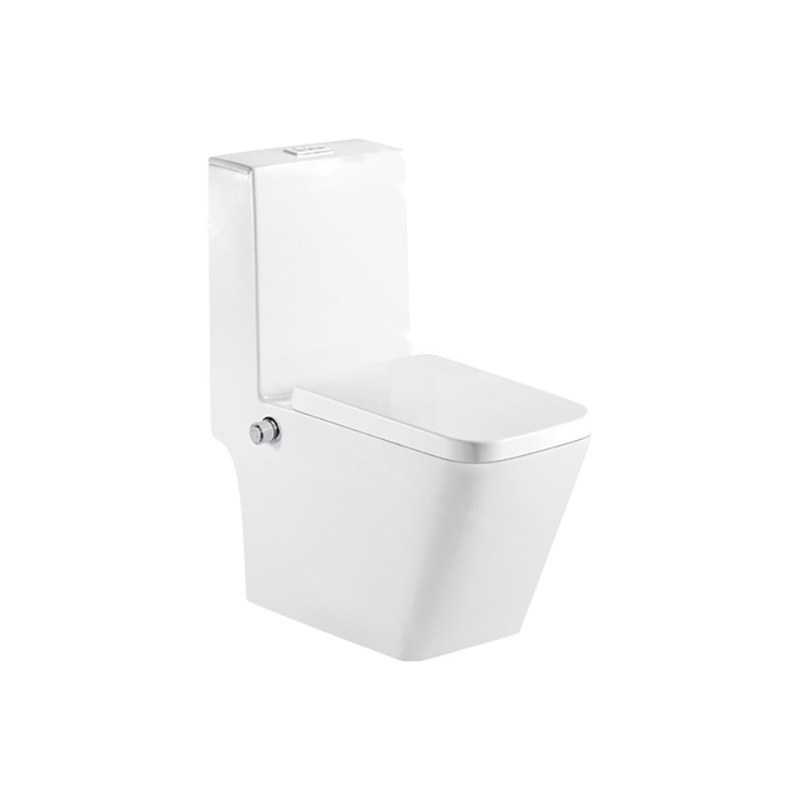 LT-1102-坐浴盆 white one-piece-toilets