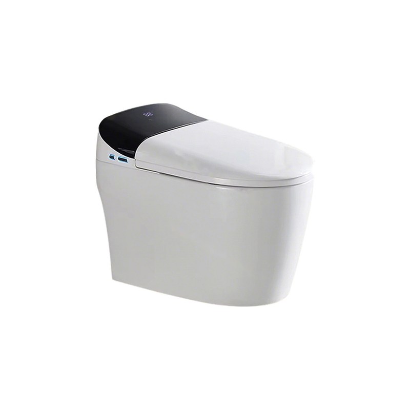 LT-TO-1002-B-WB patterned smart-toilets