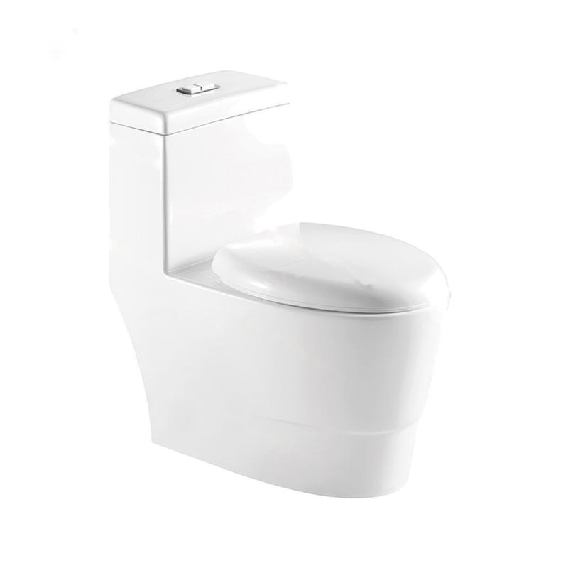 LT-1099 white one-piece-toilets
