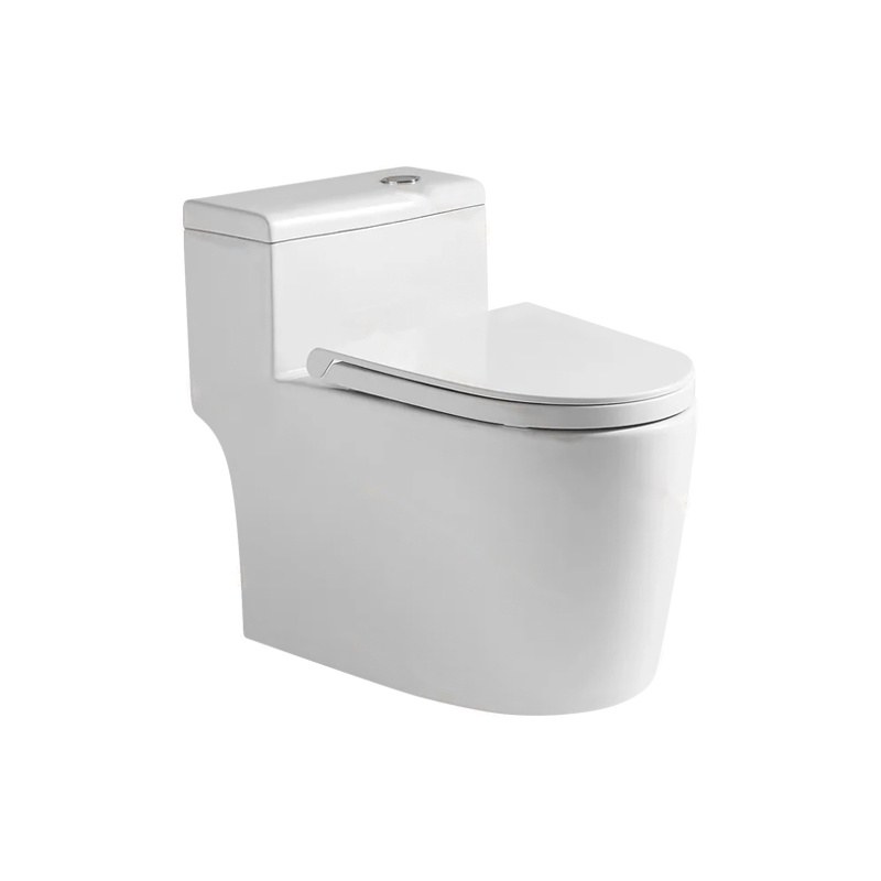 LT-1251 white one-piece-toilets