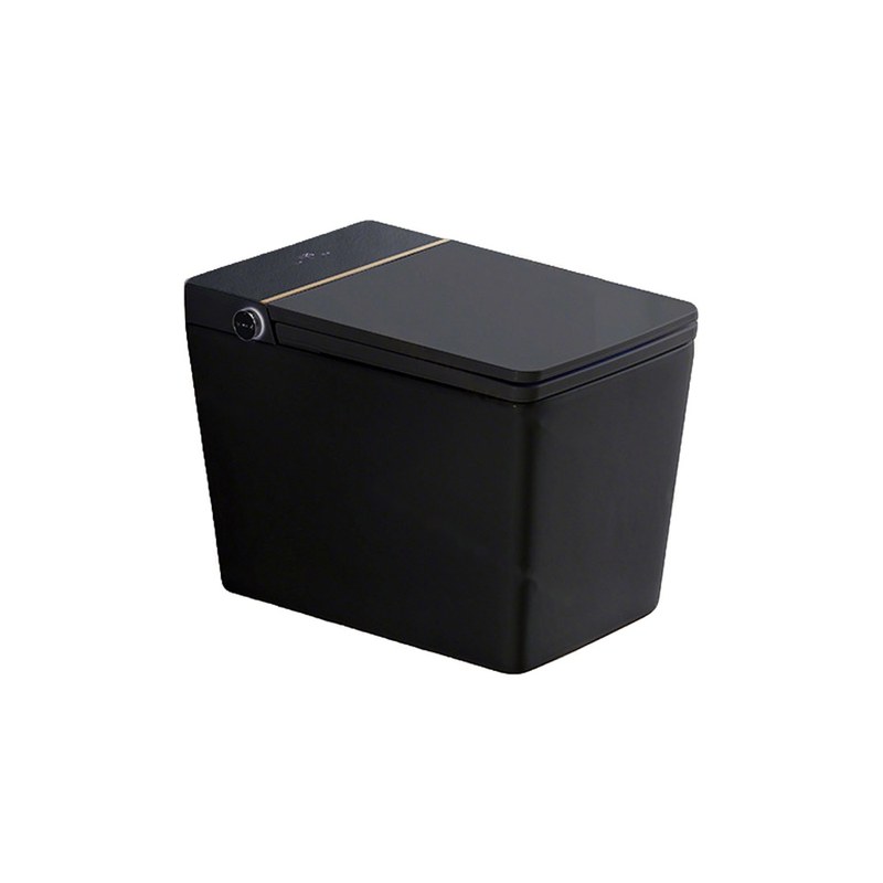 LT-TO-1124-WB-BL black smart-toilets