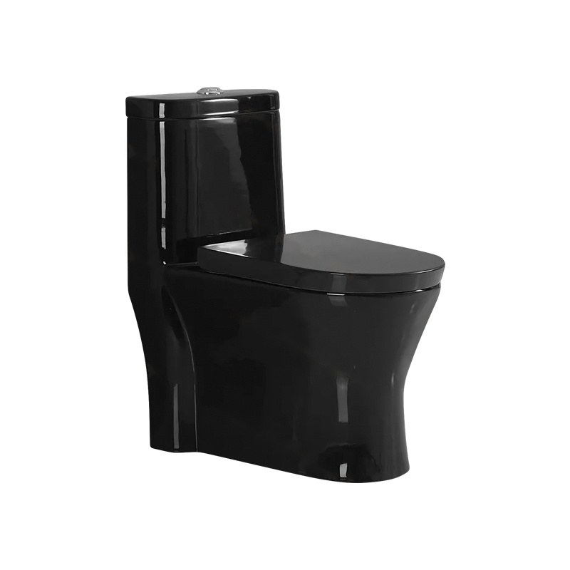 LT-1090-CG-BL black one-piece-toilets