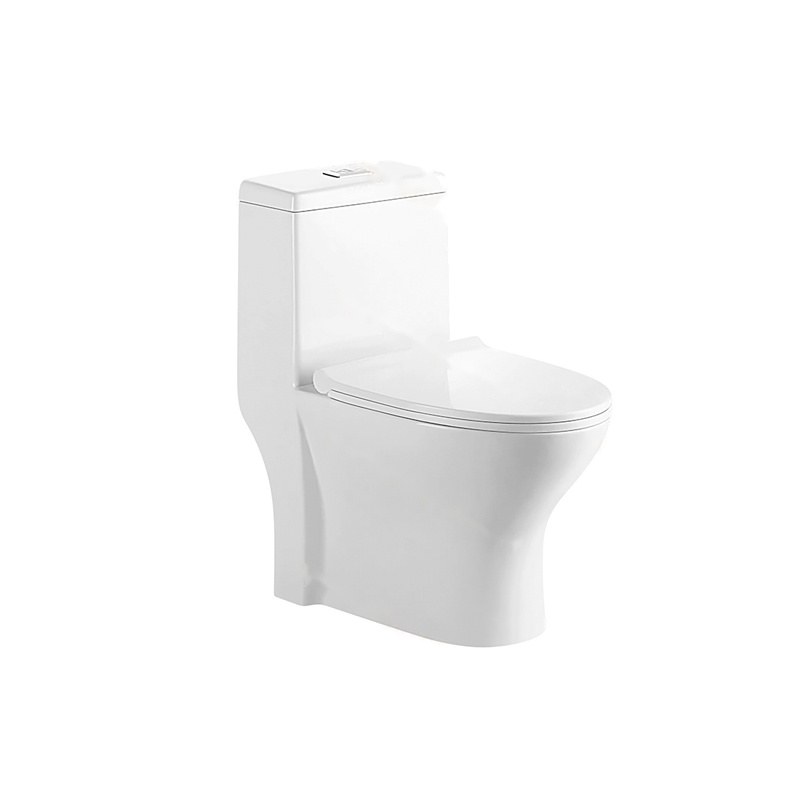 LT-1213 white one-piece-toilets