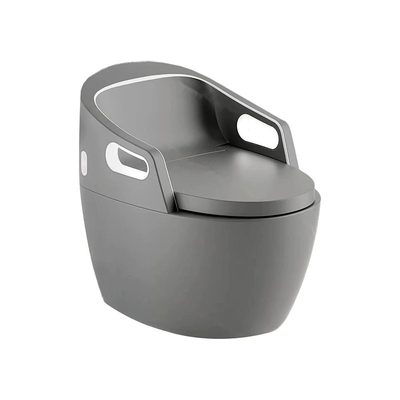 LT-TO-1138-WC-MG grey smart-toilets