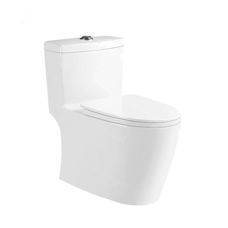 LT-1069 white one-piece-toilets