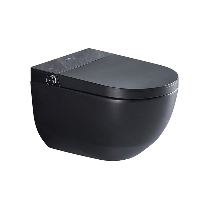 LT-TO-1059-WC-BL black smart-toilets