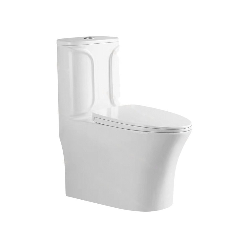 LT-1241 white one-piece-toilets