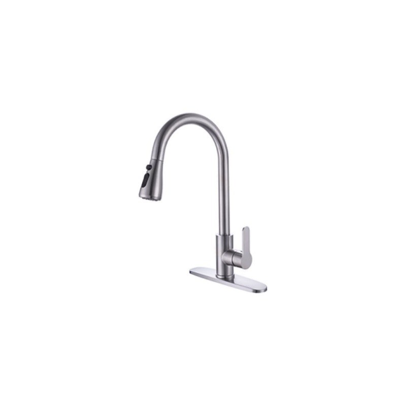 LT-10009-SS-TCCLSSCLRLT kitchen faucet, kitchen mixer tap, sink faucet
