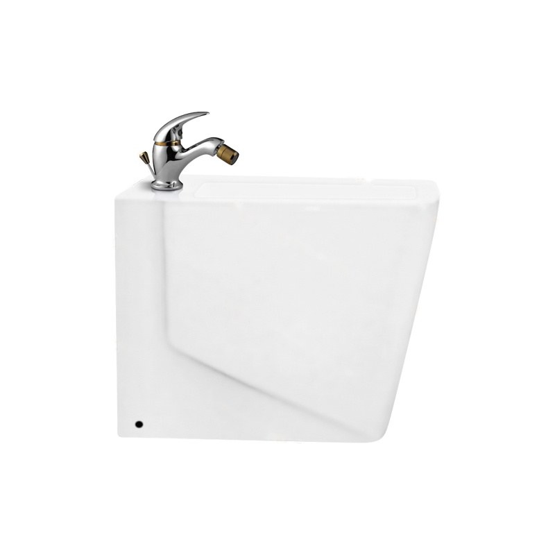 LT-408B bidet, bidet bowl