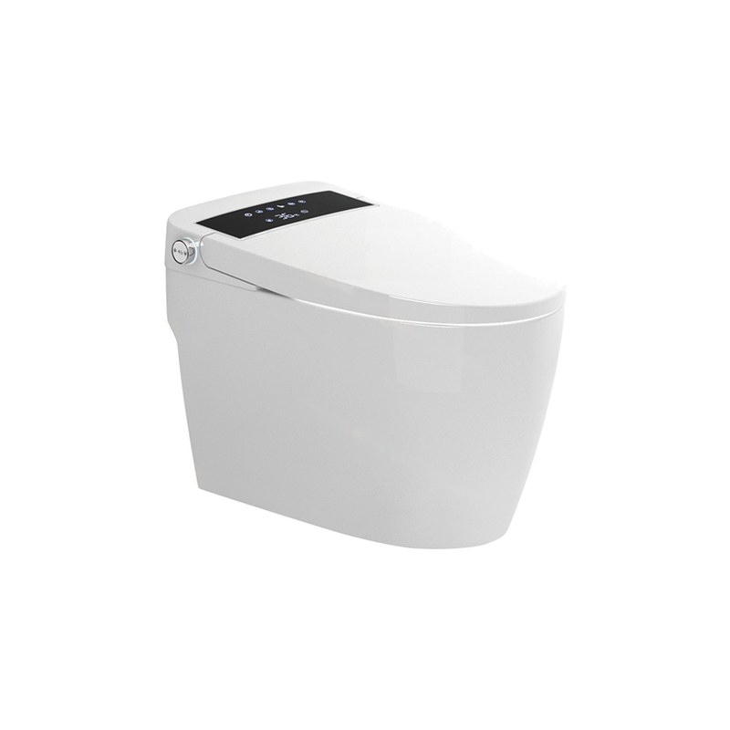 LT-TO-1030-C-BL patterned smart-toilets