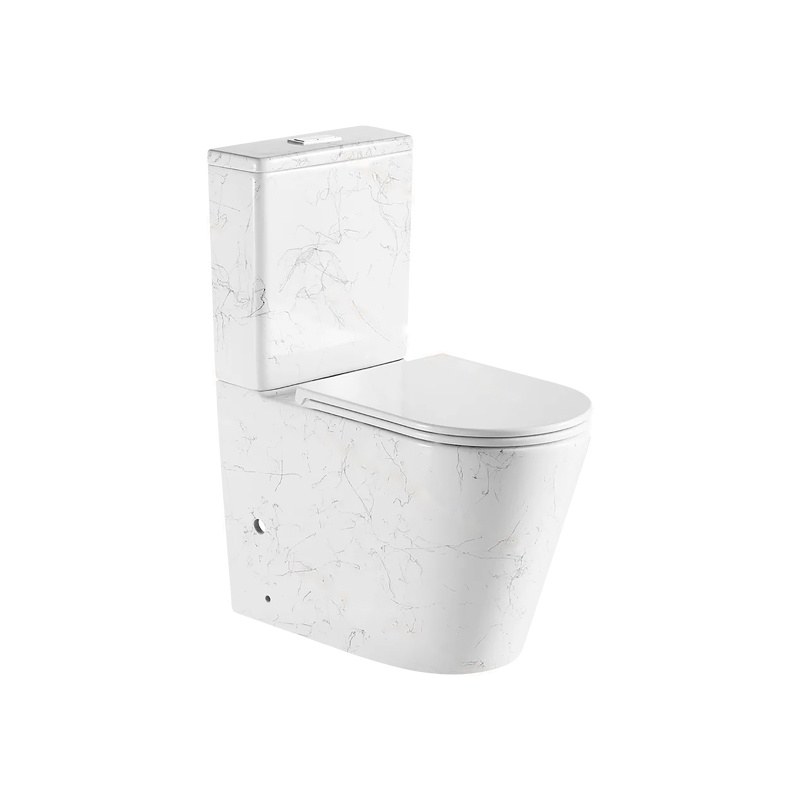 LT-202-DP-CT1 white two-piece-toilets
