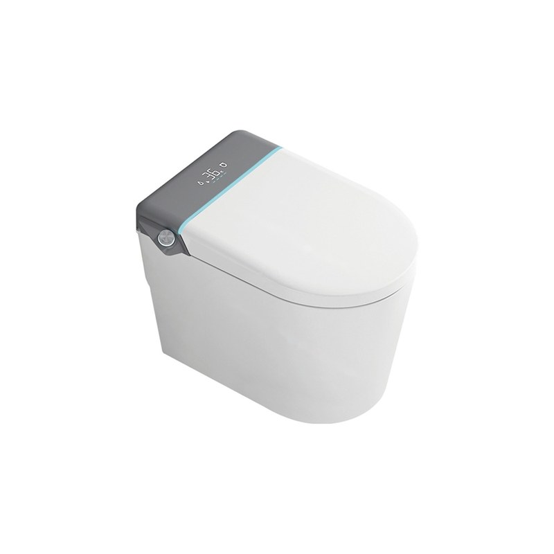 LT-TO-1078-WC-GR white smart-toilets