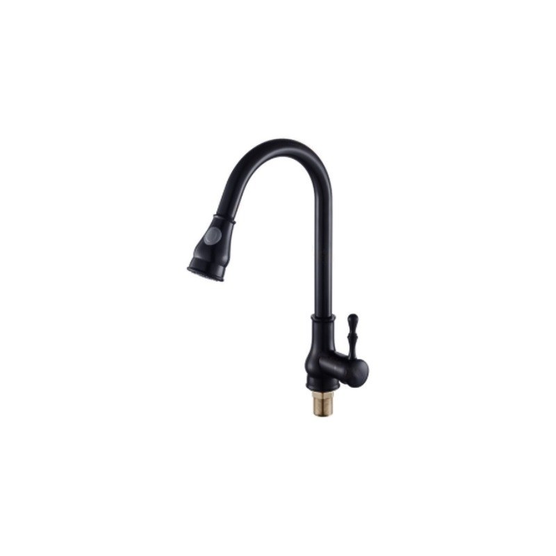 LT-10085-BRA-TCCLSSCLRLT kitchen faucet, kitchen mixer tap, sink faucet