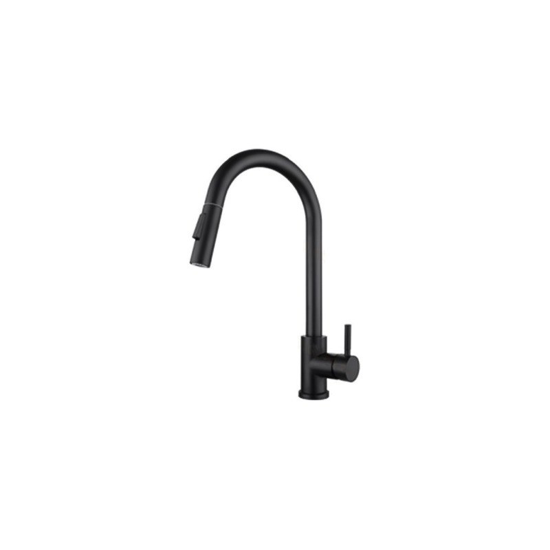 LT-10008-SS-TCCLSSCLRLT kitchen faucet, kitchen mixer tap, sink faucet