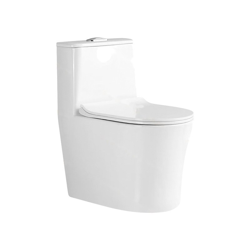 LT-1149 white one-piece-toilets