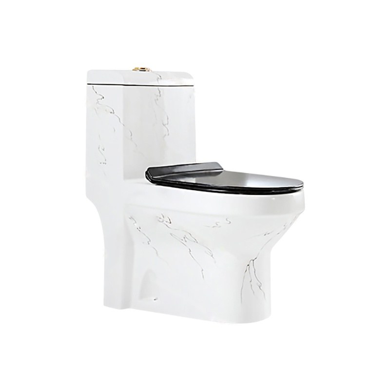 LT-1085-DP-1 white one-piece-toilets