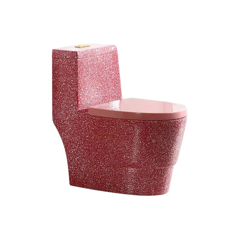 LT-1099-CDG-CR colored one-piece-toilets