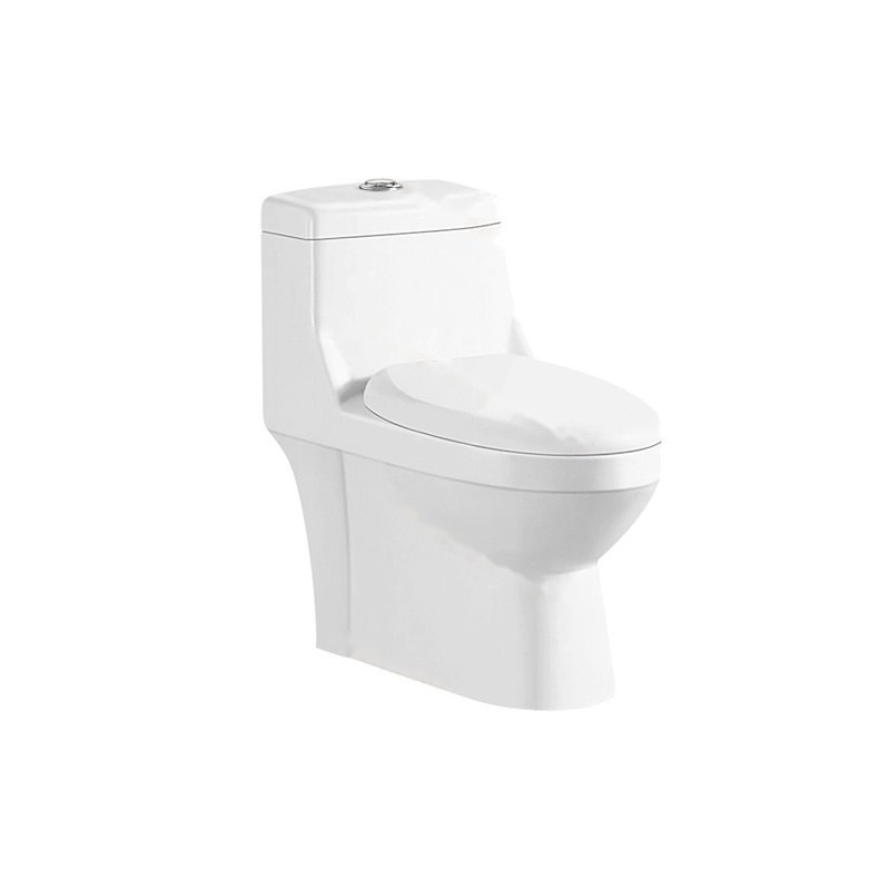 LT-1209 white one-piece-toilets
