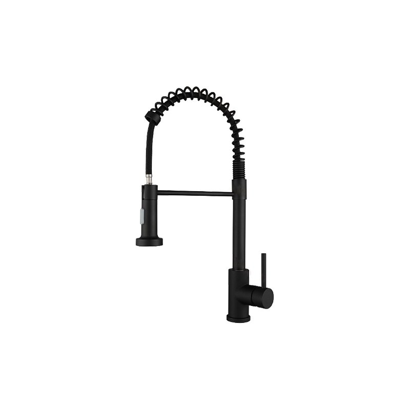 LT-10088-SS-TCCLSSCLRLT kitchen faucet, kitchen mixer tap, sink faucet