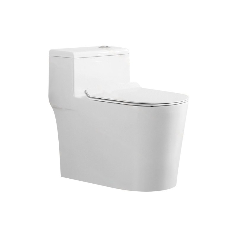LT-1268 white one-piece-toilets