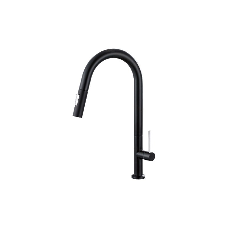 LT-10095-SS-TCCLSSCLRLT kitchen faucet, kitchen mixer tap, sink faucet