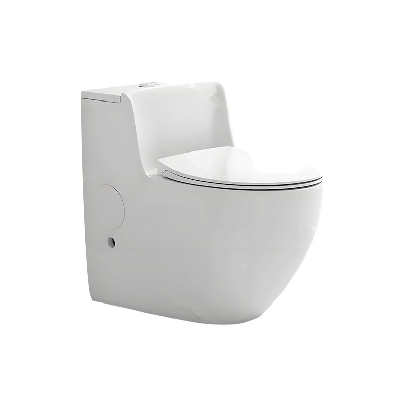 LT-1348 white one-piece-toilets