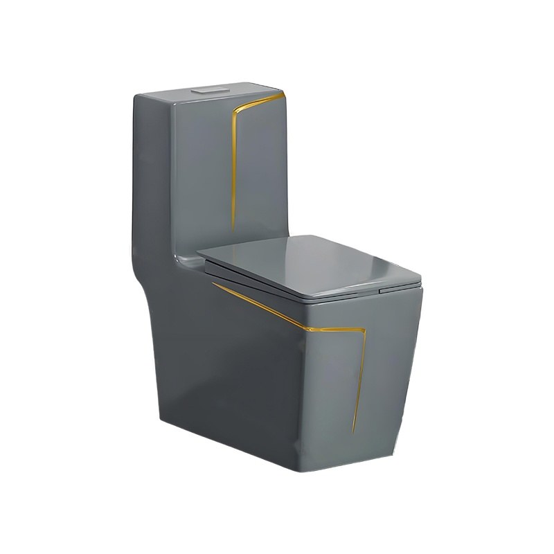 LT-1109-CG-DGR grey one-piece-toilets