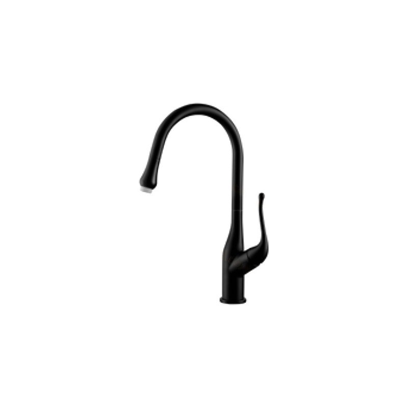 LT-10077-BRA-TCCLSSCLRLT kitchen faucet, kitchen mixer tap, sink faucet