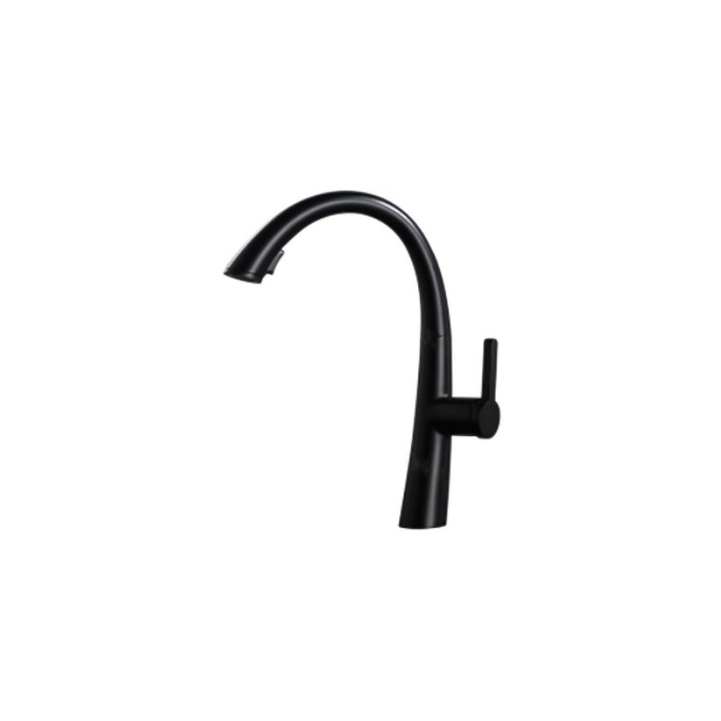 LT-10091-BRA-TCCLSSCLRLT kitchen faucet, kitchen mixer tap, sink faucet