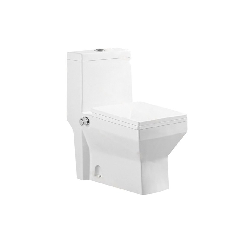 LT-1105W-坐浴盆 white one-piece-toilets