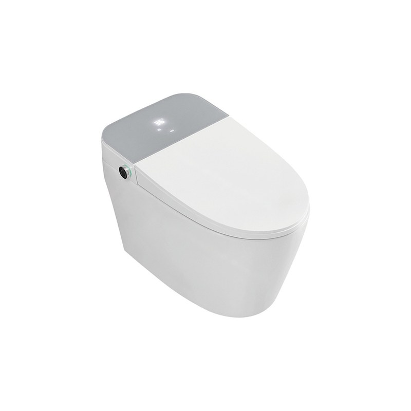 LT-TO-1019-WC-LP white smart-toilets