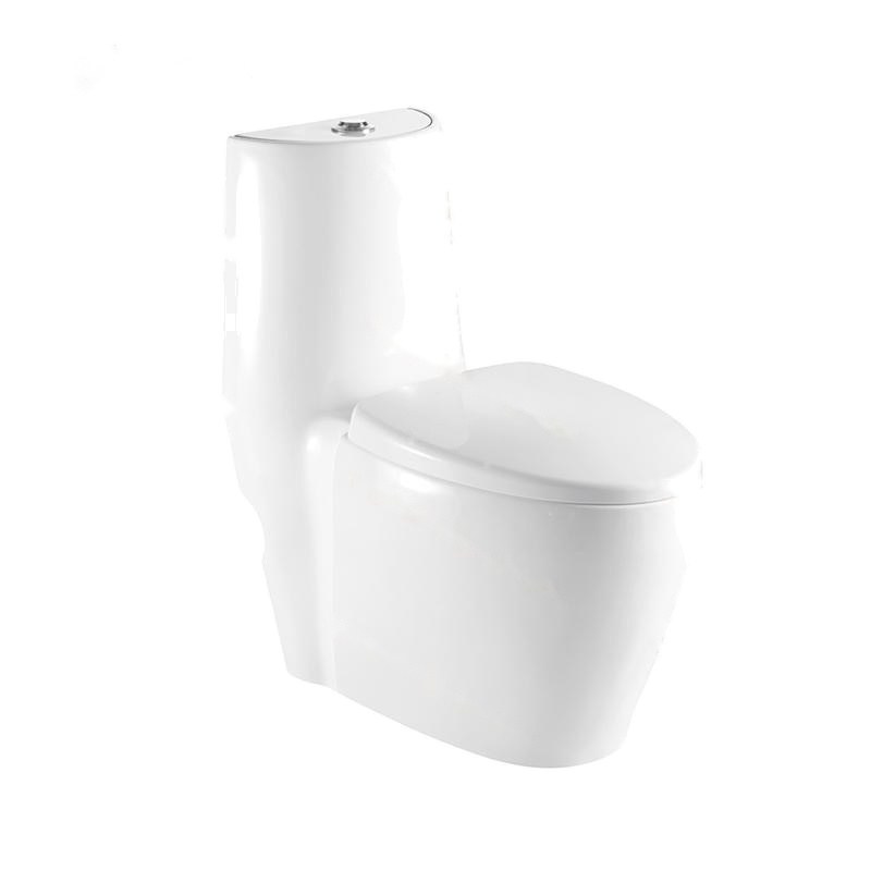 LT-1020 white one-piece-toilets