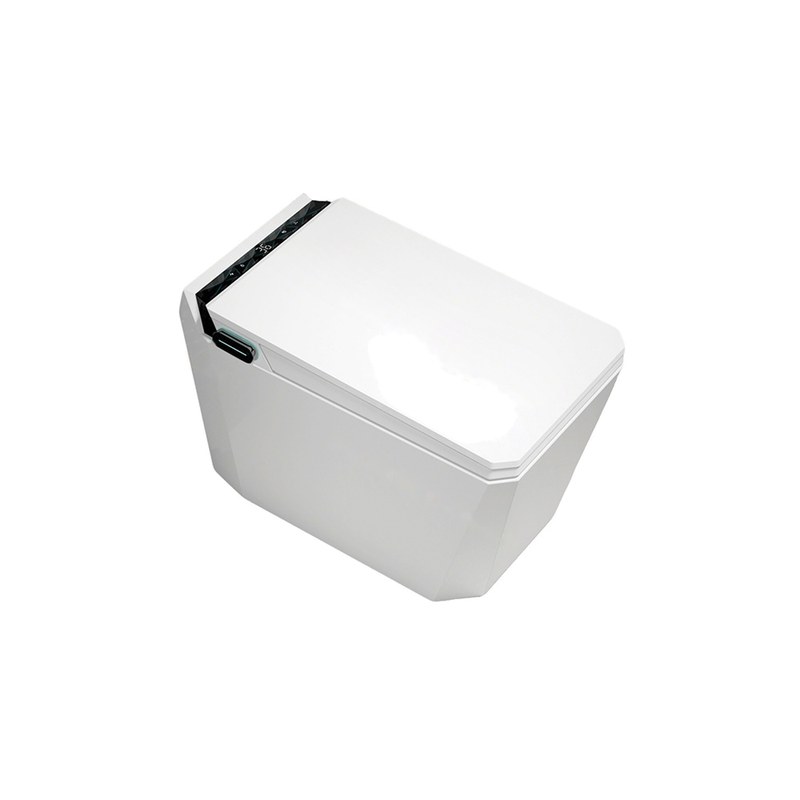 LT-TO-1120-WC-W patterned smart-toilets