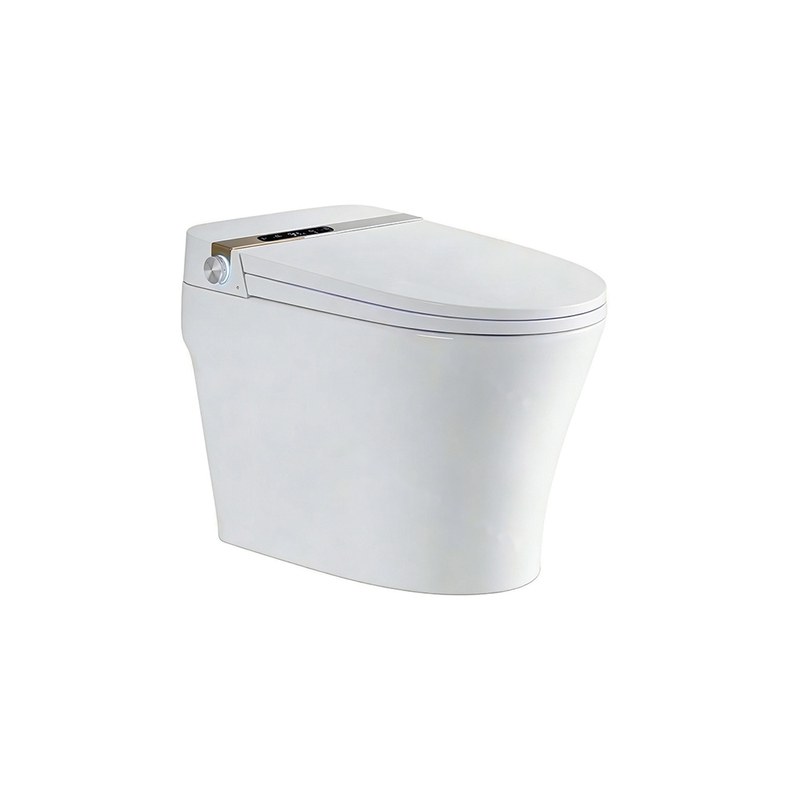 LT-TO-1007-B-GS white smart-toilets