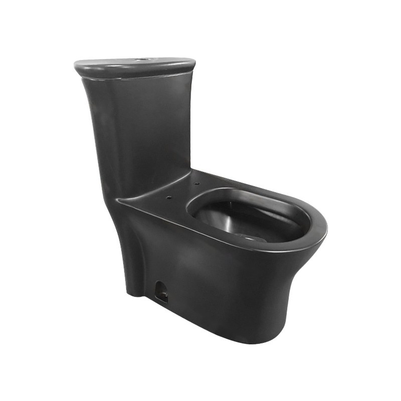 LT-1119-M-BL black one-piece-toilets