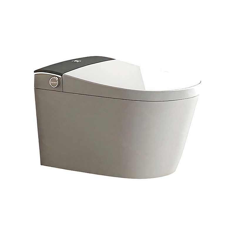 LT-TO-1111-C patterned smart-toilets