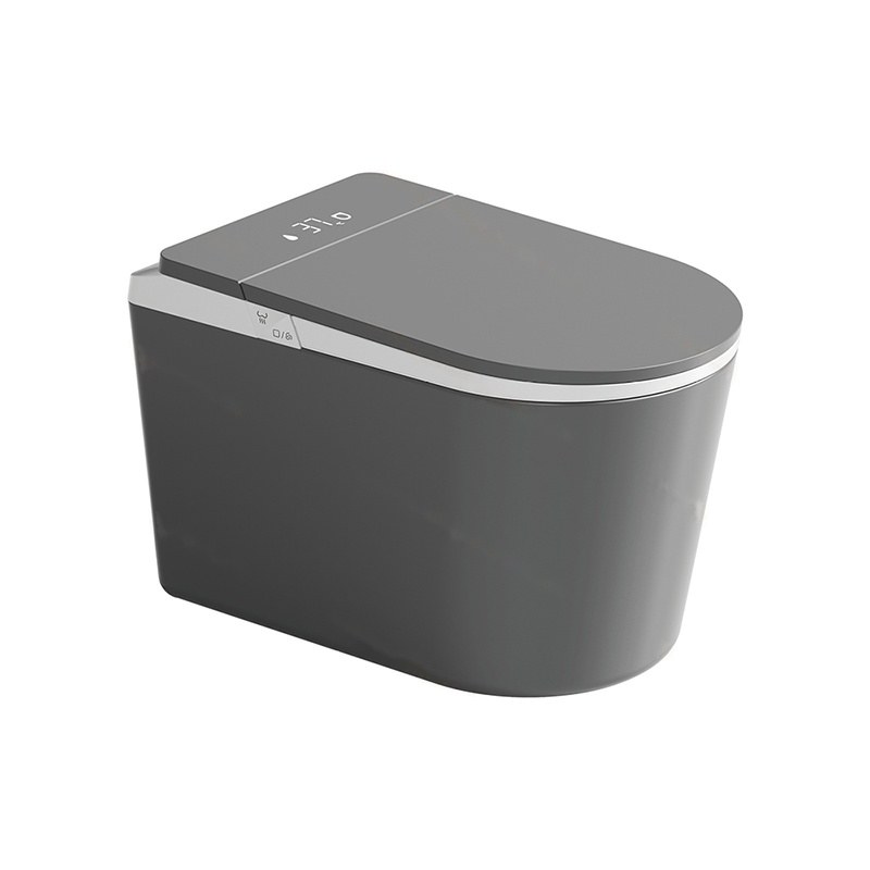 LT-TO-1136-WA-GW black smart-toilets